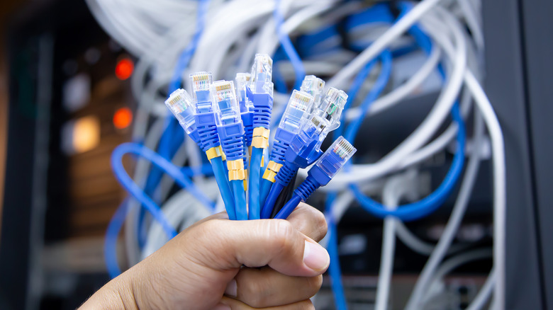 A hand holding RJ45 cables