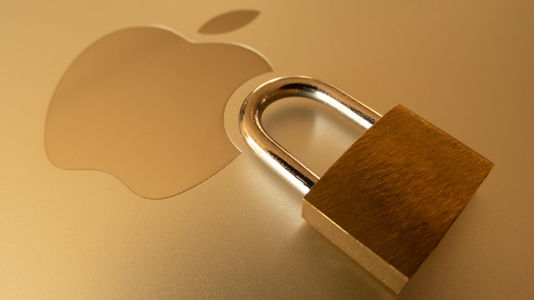 Apple padlock security