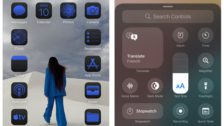 iOS 18 customization features