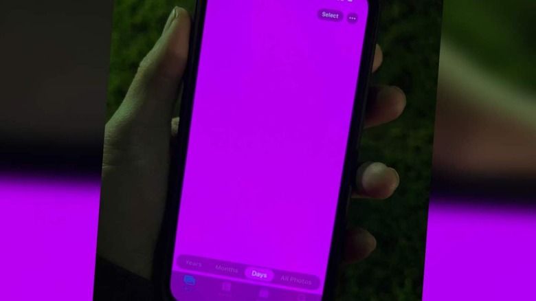 Pink iPhone 13 display issue