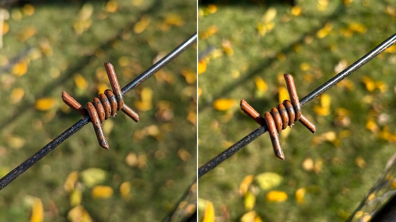two photos of barbed wire