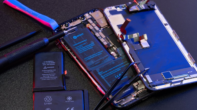 Innards of an iPhone