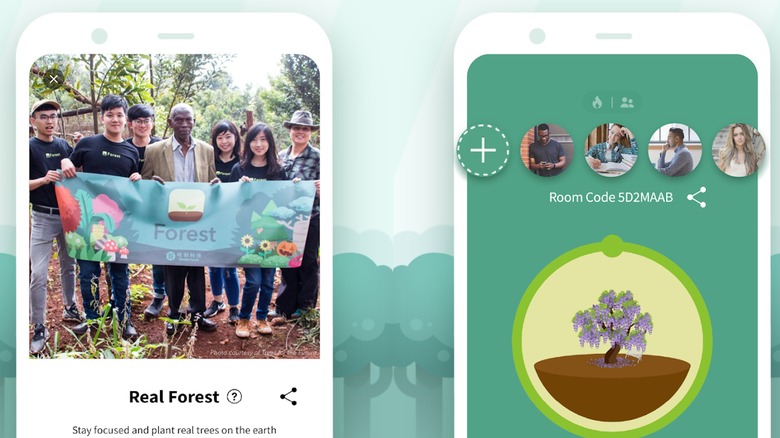 Forest Focus for Productivity app logo and interface