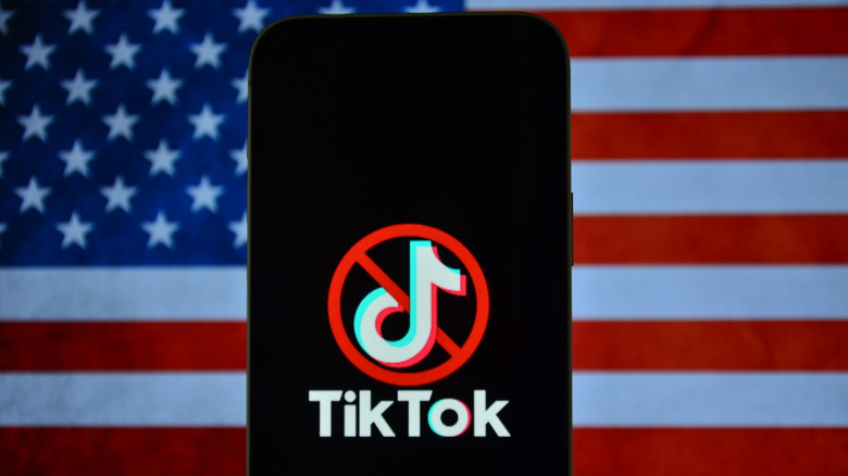 TikTok ban on mobile phones in United States