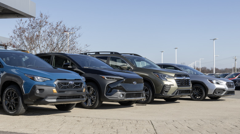 Various Subarus parked next to each other at a dealership lot