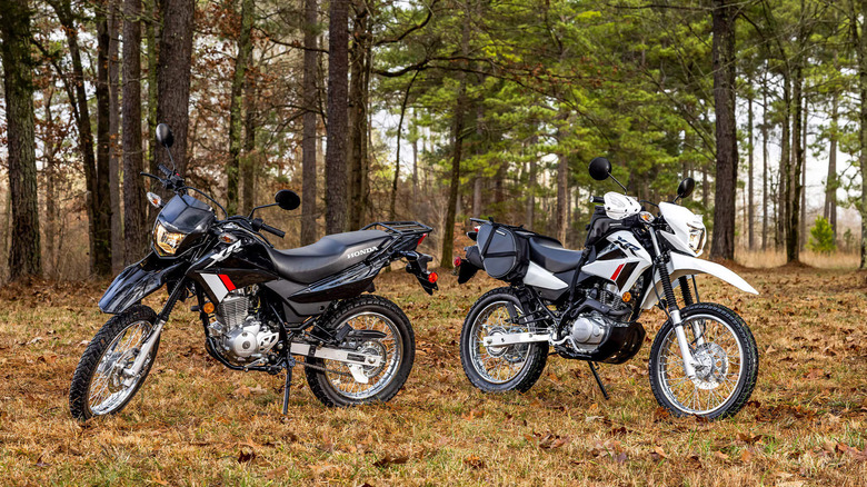 Pair of Honda XR150L Motorcycles