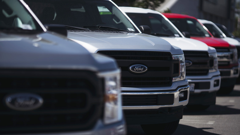 New Ford trucks at the dealership