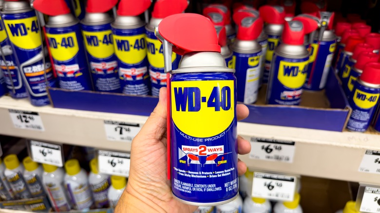 Person holding WD-40 can