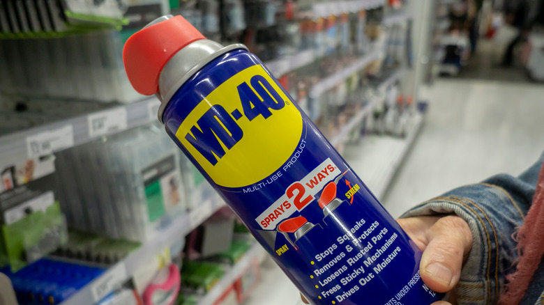 Person holding WD-40