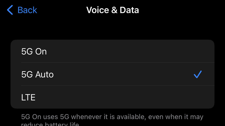 iPhone Voice and Data screenshot