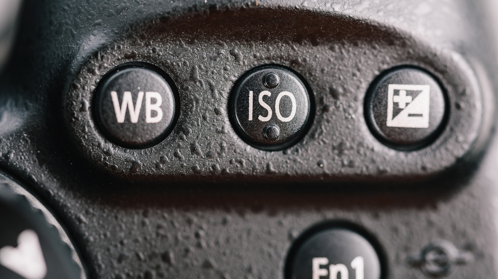 iso-in-photography-explained-an-easy-guide-with-tips