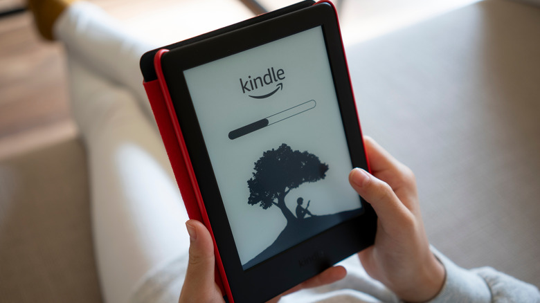 Person holding Kindle