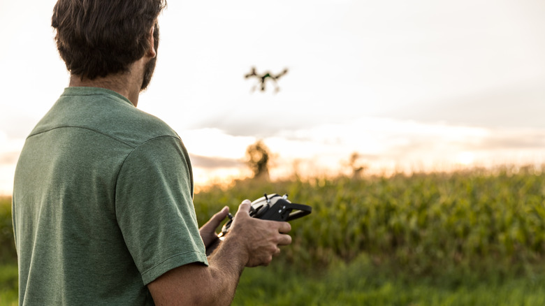 Person flying drone over field