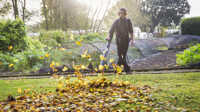 A person using a leaf blower on a lawn.