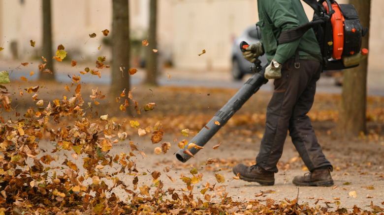 A person using a leaf blower on pavement.