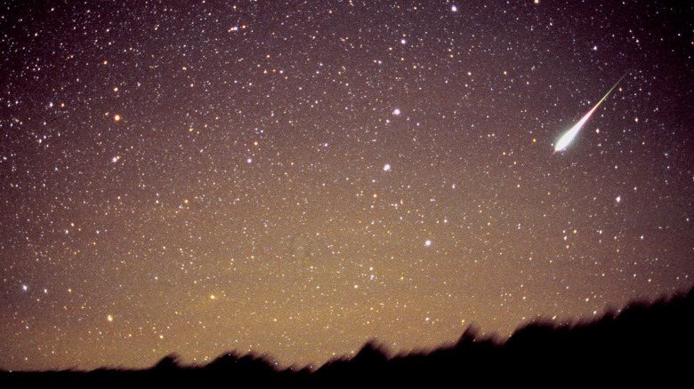 Leonid meteor in night sky