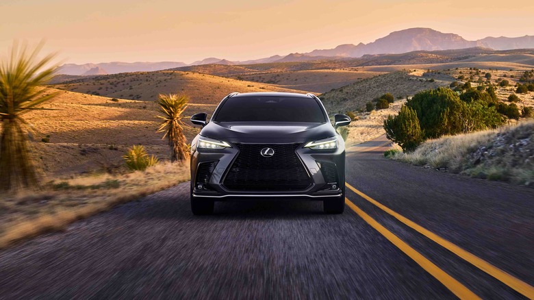 Lexus NX on a road