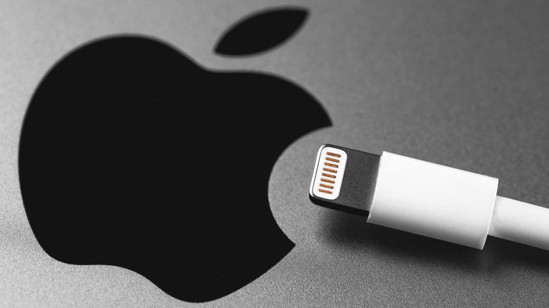 Apple logo and Lightning connector 