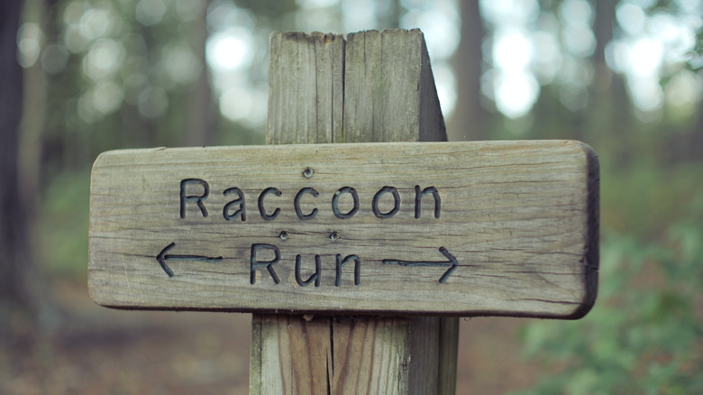 Closeup of hiking trail sign