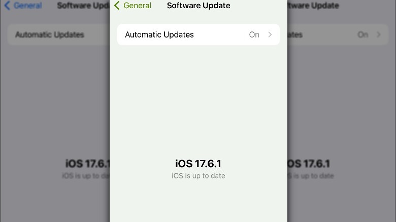 iPhone software update screen