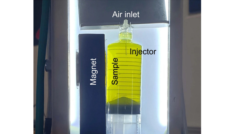 Magnetic phase separation in microgravity.