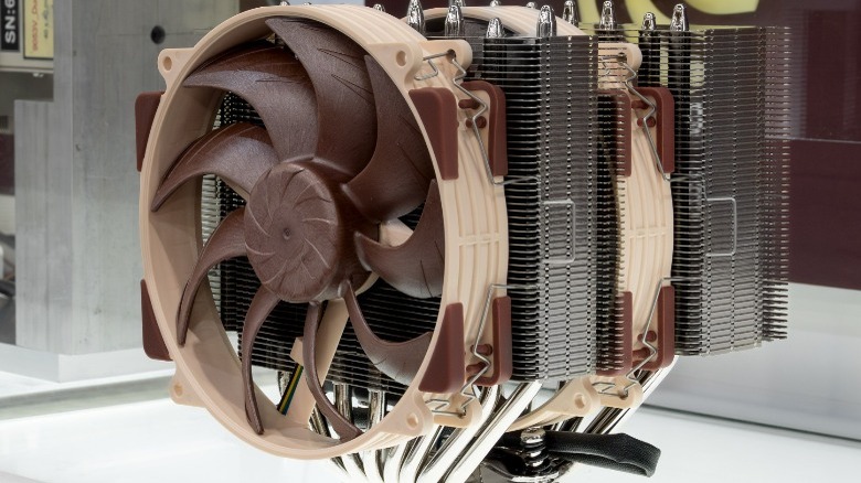 Noctua with distinctive brown coloring on a table