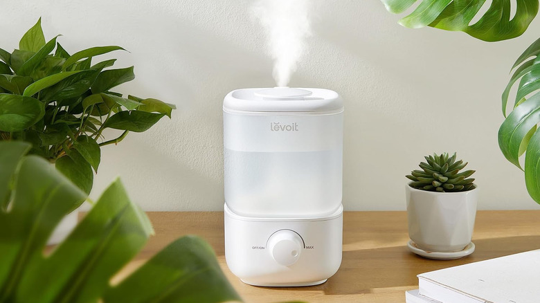 28dB Quiet Cool Mist Air Humidifier in a room full of plants.