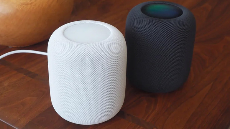 Two Apple HomePods on a table together