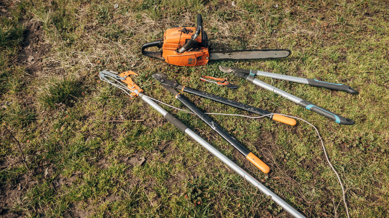 Chainsaw and garden tools for pruning