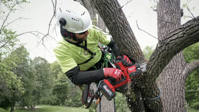 Man using Milwaukee pruning saw to cut through a branch on a tree