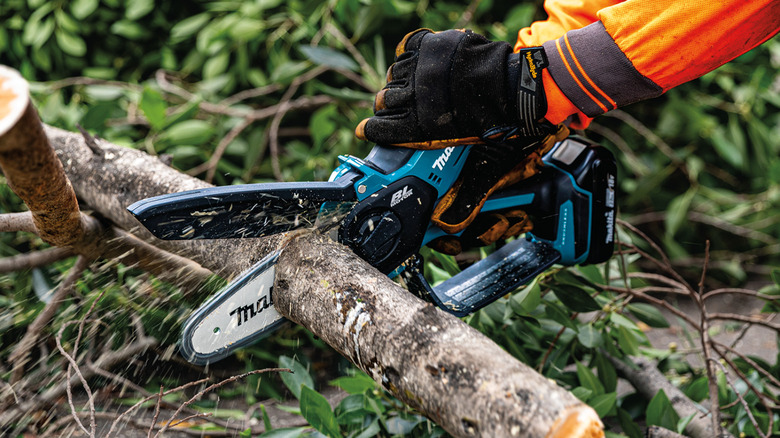 Person using a Makita pruning saw to cut through a branch on the ground