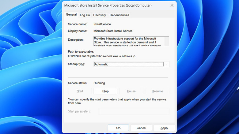 Micrsoft Store Install Service Properties