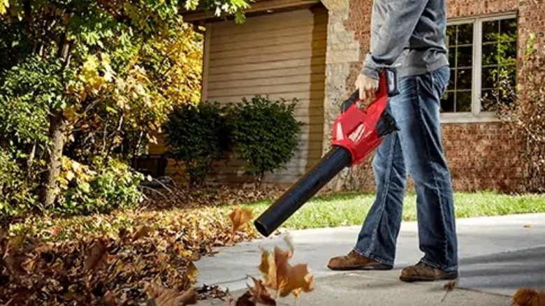 person using blower on leaves