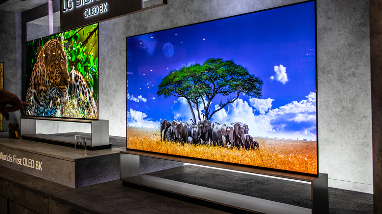 LG OLED TVs on display