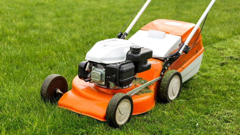 Person pushing lawn mower across yard