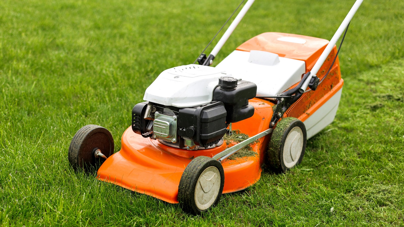 Mistakes Everyone Makes With Their Lawn Mower