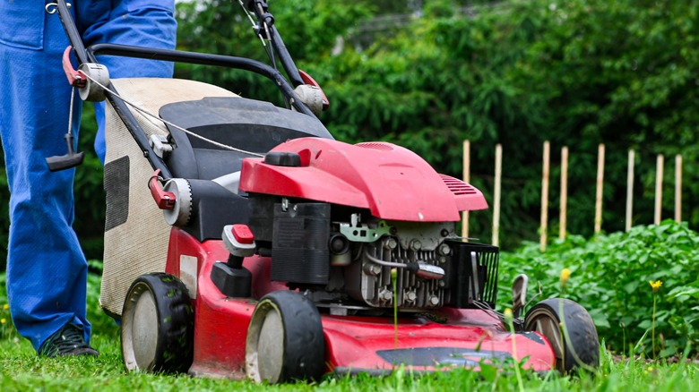 Red lawn mower going over yard