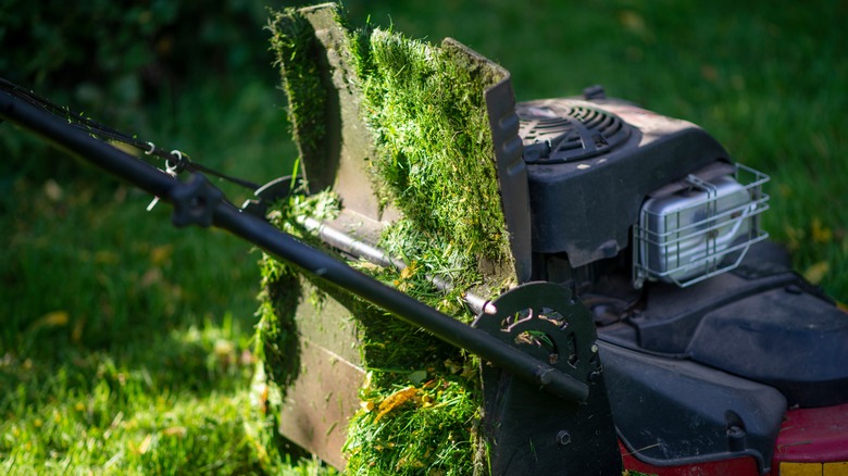 Lawn mower clogged with wet grass