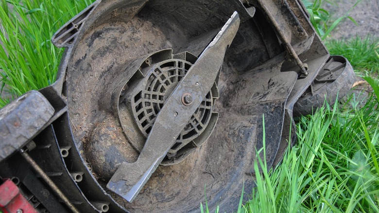 Lawn mower blade exposed on green grass