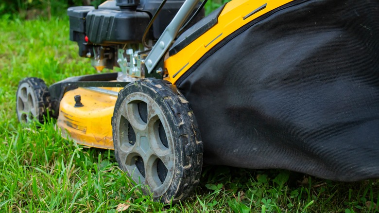 Lawn mower getting pushed over grass