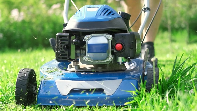 Lawn mower cutting grass