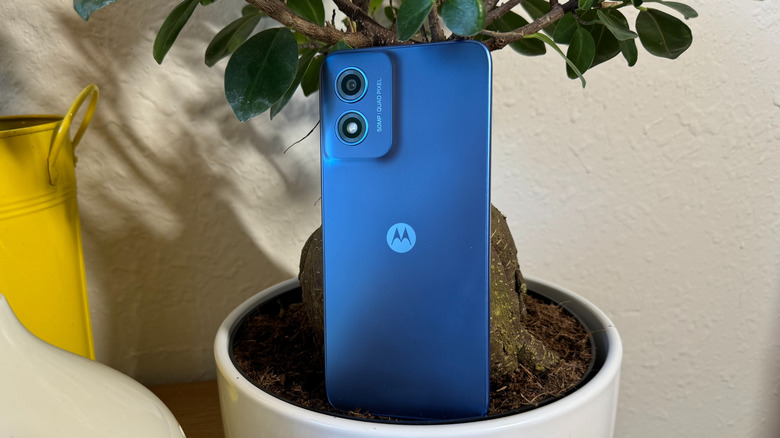 Motorola G Play (2024) resting against a bonsai tree.