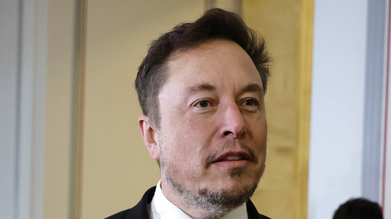 X owner Elon Musk