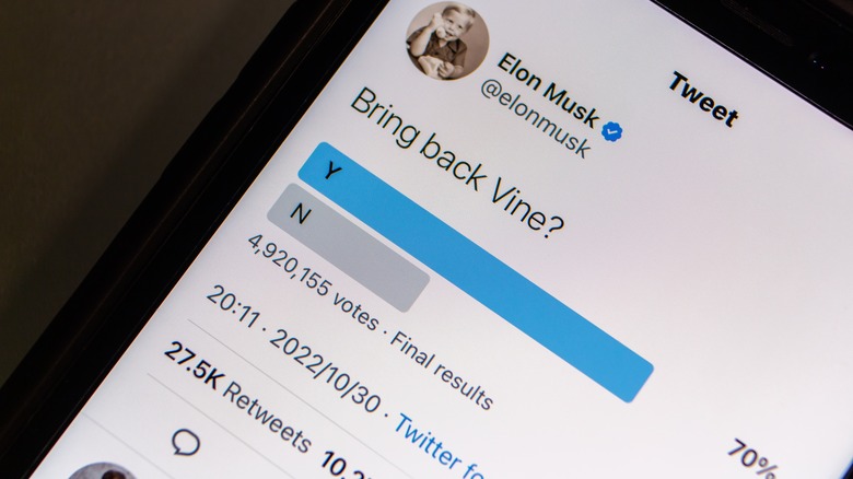 An elon Musk twitter poll