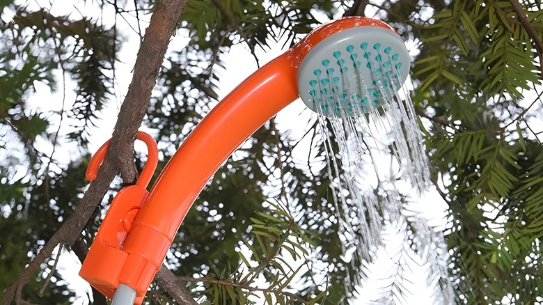 Shower head sprinkling water from tree