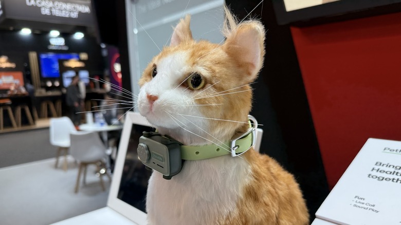 A stuff cat wears a PetPhone