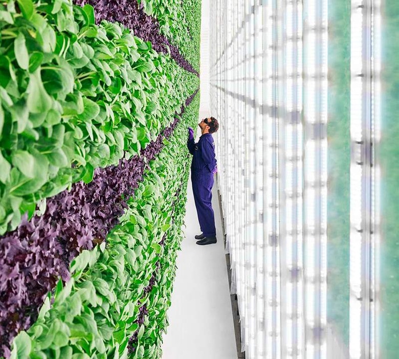 Vertical farming