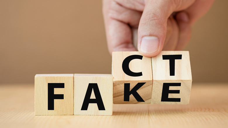 Fake and Fact word blocks