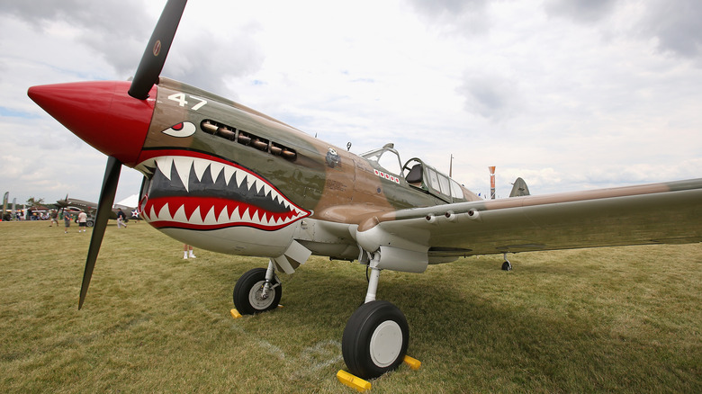 P40 Warhawk painted in Flying Tigers colors