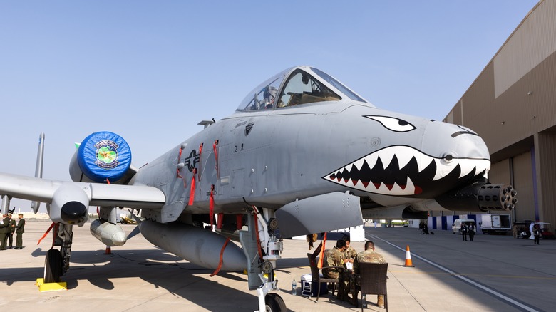 A10 warthog with grinning shark nose art